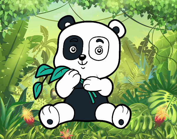 Un oso panda