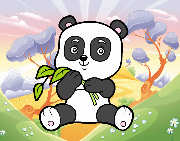 pandi