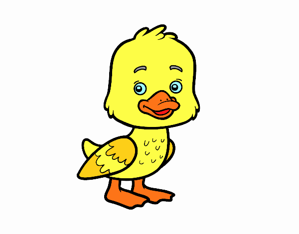 Un patito