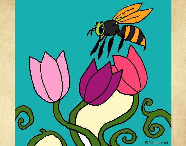 Abeja 3