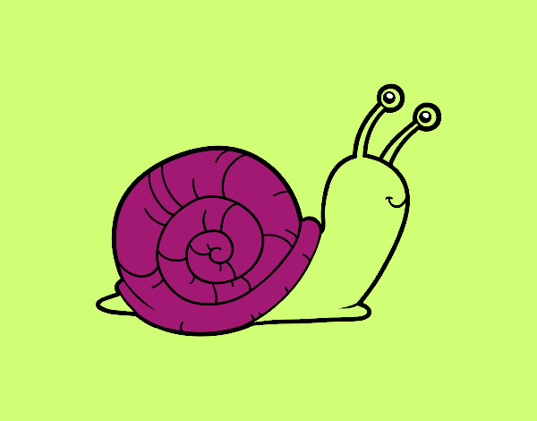 El caracol