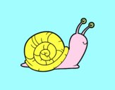 El caracol