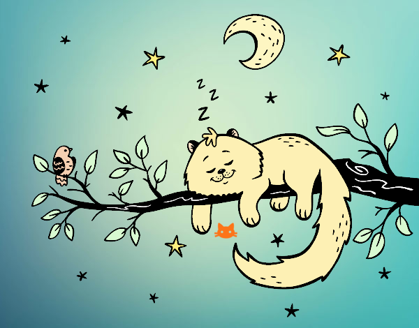 El gato y la luna