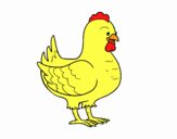 Gallina de una granja