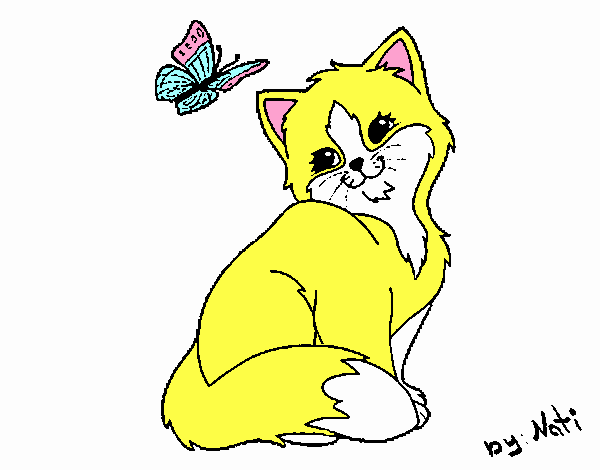 Gatito y mariposa