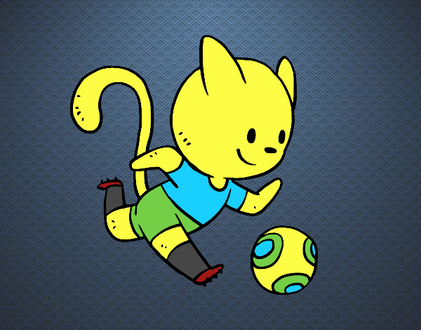 Gato jugando a fútbol