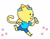 Gato runner