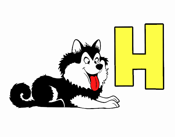 H de Husky