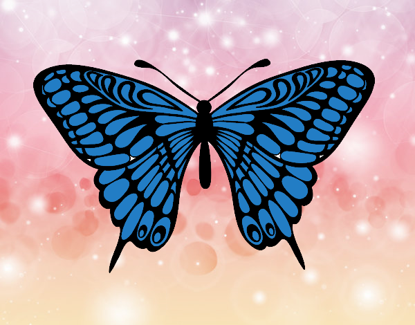 mariposa