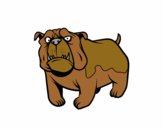 Dibujo Perro bulldog inglés pintado por santi1235