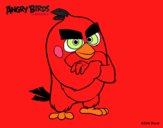 Red de Angry Birds