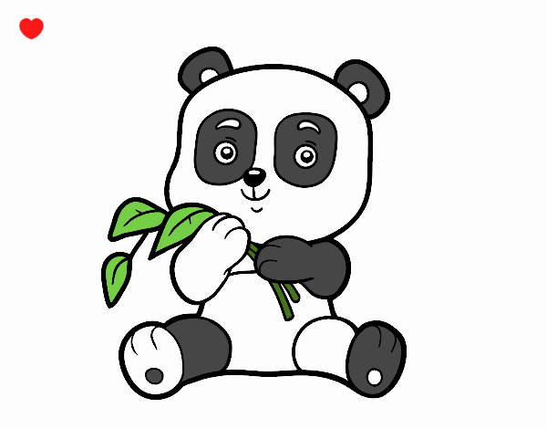 Un oso panda