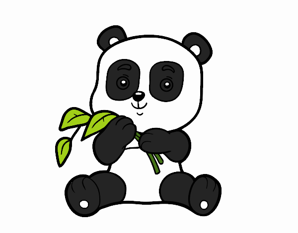 Un oso panda