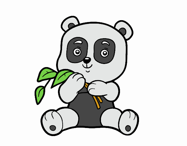 Un oso panda