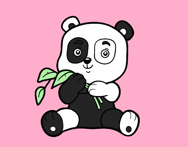 Un oso panda