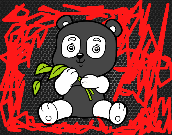 Un oso panda