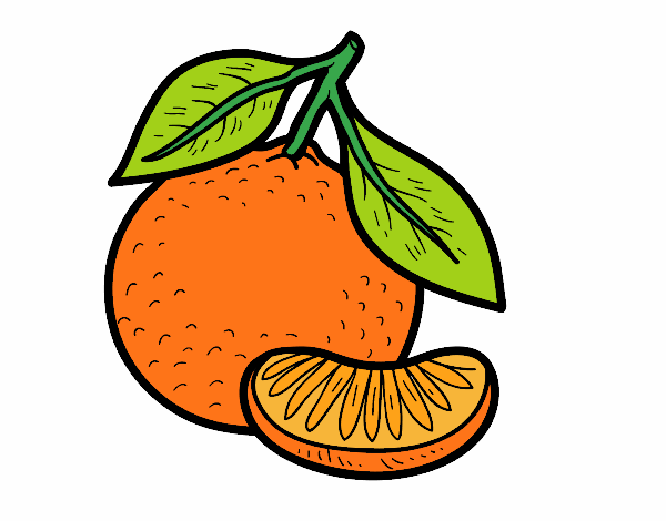 Dibujo Una mandarina pintado por albabm24