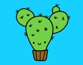 Cactus nopal