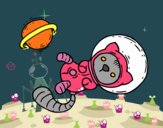 Gatito astronauta