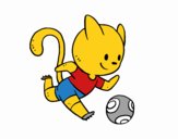 Gato jugando a fútbol