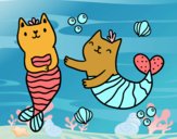 Gatos sirena