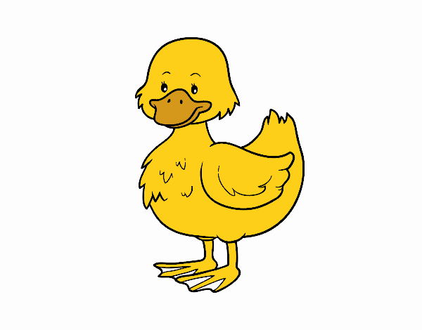 Patito de granja