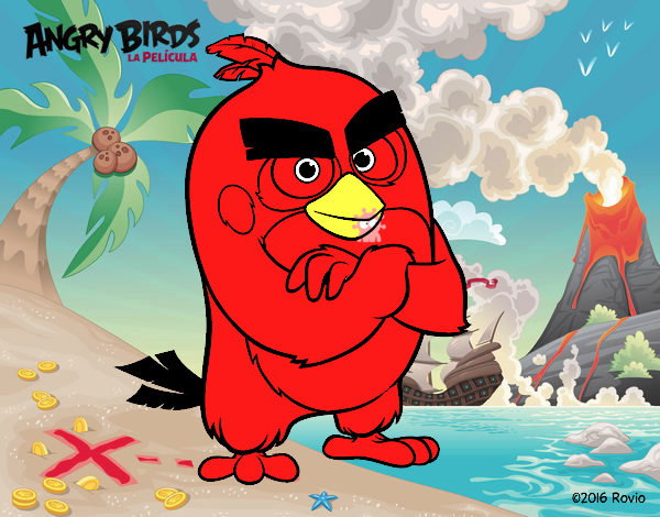 Red de Angry Birds