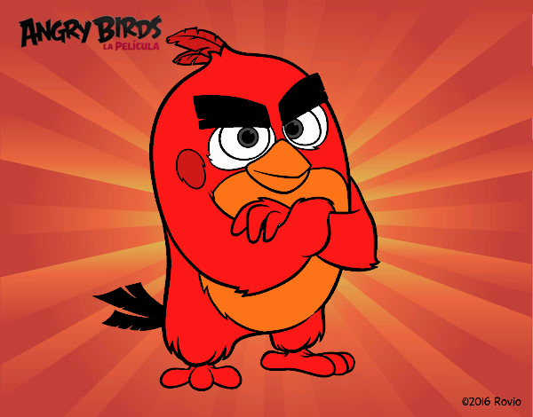 Red de Angry Birds