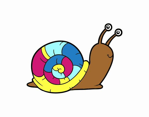 El caracol