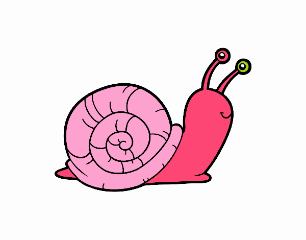 El caracol