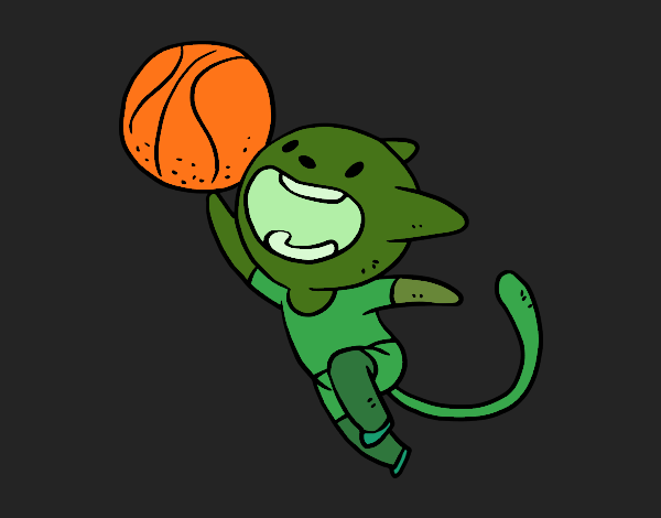 Gato jugando a baloncesto