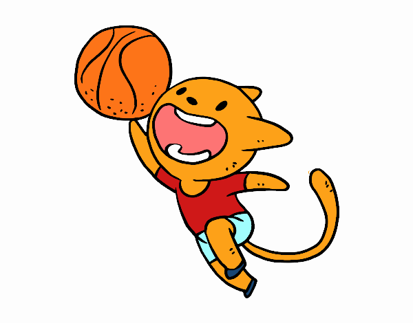 Gato jugando a baloncesto