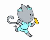 Gato runner