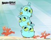 Las crias de Angry Birds