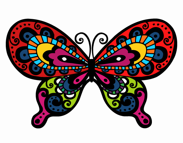 Mariposa bonita