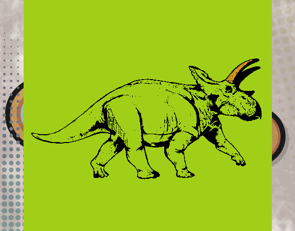 Triceratops 1