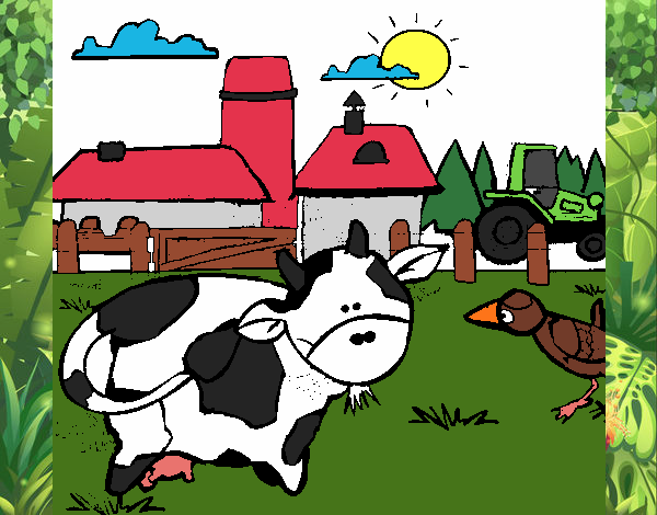 Vaca en la granja