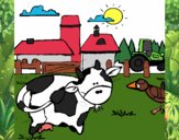 Vaca en la granja