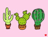 Dibujo 3 mini cactus pintado por sahori 