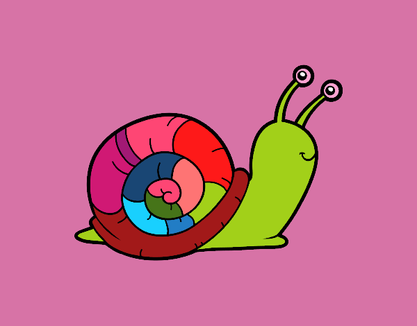 El caracol