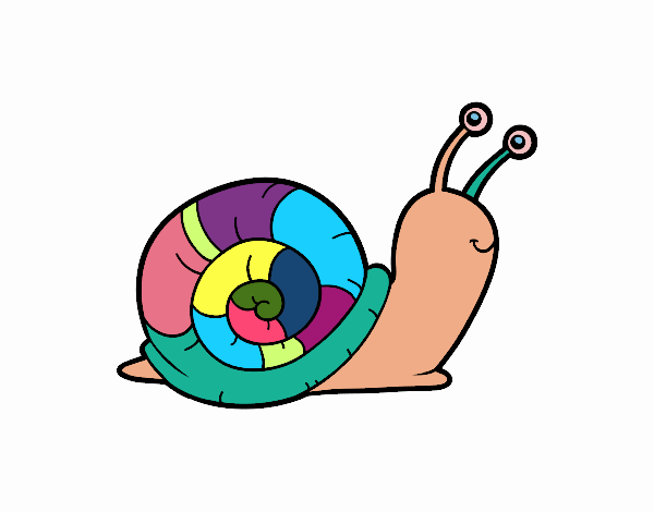 El caracol