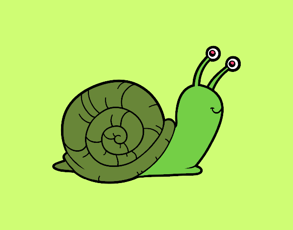 CARACOL