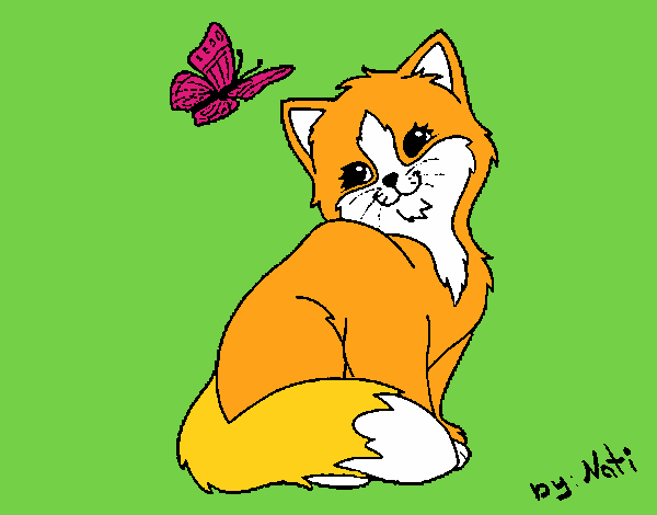 Gatito y mariposa