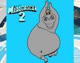 Madagascar 2 Gloria