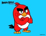 Red de Angry Birds