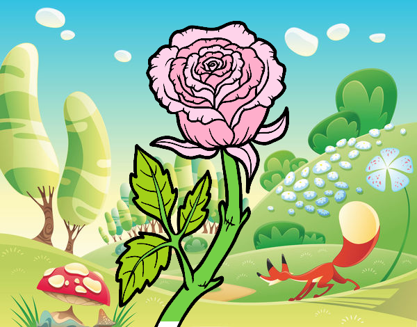 Dibujo Rosa silvestre pintado por kale