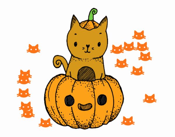 Un gatito de Halloween