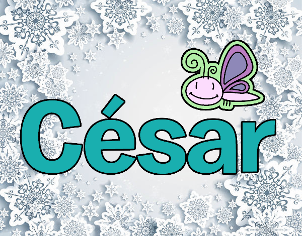 César