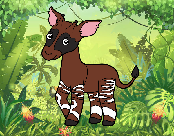 Okapi