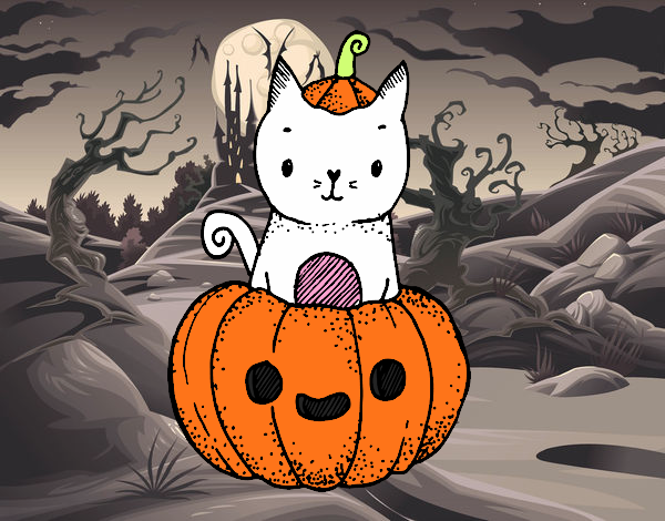 Un gatito de Halloween